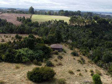Campo en venta en Quenuir – Huapache – Maullín - Región de Los Lagos