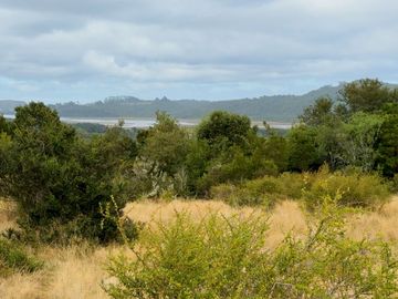 Campo en venta en Quenuir – Huapache – Maullín - Región de Los Lagos