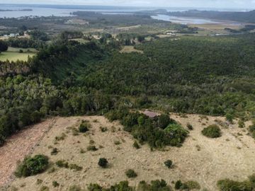 Campo en venta en Quenuir – Huapache – Maullín - Región de Los Lagos