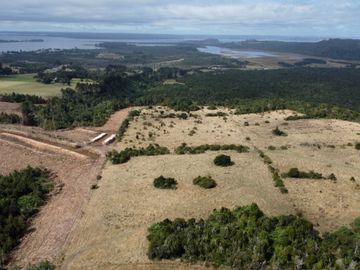 Campo en venta en Quenuir – Huapache – Maullín - Región de Los Lagos