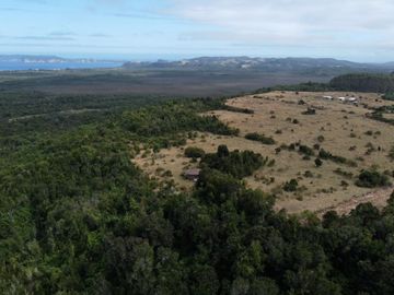 Campo en venta en Quenuir – Huapache – Maullín - Región de Los Lagos