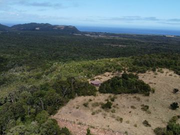 Campo en venta en Quenuir – Huapache – Maullín - Región de Los Lagos