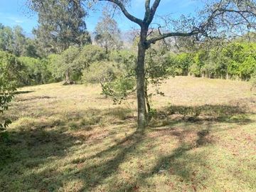Oportunidad excelente propiedad en venta con 10.000m2 de terreno, en Gualaceo sector Cértag