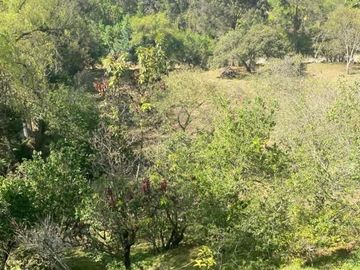 Oportunidad excelente propiedad en venta con 10.000m2 de terreno, en Gualaceo sector Cértag