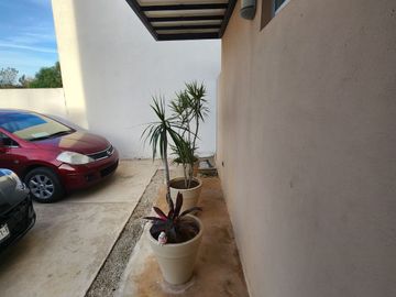 CASA FLORA DZITYA