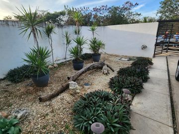 CASA FLORA DZITYA