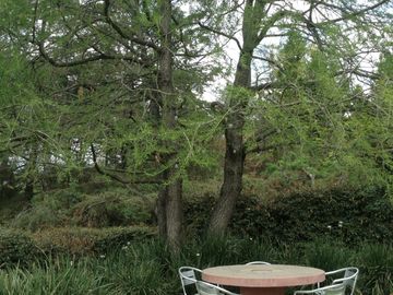 Vendo casa en Llorones. la estadia, atizapan de zaragoza Edo de Mexico.