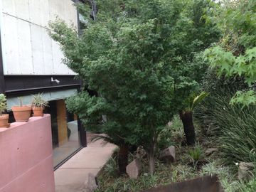Vendo casa en Llorones. la estadia, atizapan de zaragoza Edo de Mexico.