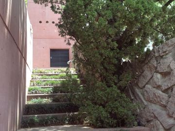 Vendo casa en Llorones. la estadia, atizapan de zaragoza Edo de Mexico.
