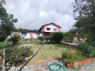 Casa en Limatambo ideal para Hotel o Airbnb + Cultivos de Palta, Limón y más