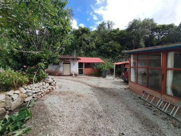 Casa en Limatambo ideal para Hotel o Airbnb + Cultivos de Palta, Limón y más