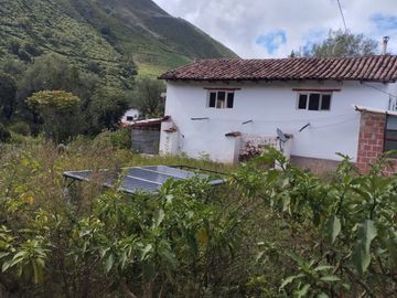 Casa en Limatambo ideal para Hotel o Airbnb + Cultivos de Palta, Limón y más