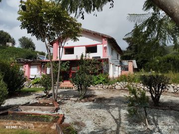 Casa en Limatambo ideal para Hotel o Airbnb + Cultivos de Palta, Limón y más