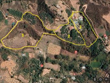 Casa en Limatambo ideal para Hotel o Airbnb + Cultivos de Palta, Limón y más