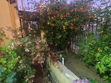 SE VENDE HERMOSA CASA EN MATTA-PLACERES,VALPARAISO