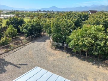 Quillota. La Palma. Maravillosa parcela con casa espectacular.