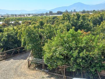 Quillota. La Palma. Maravillosa parcela con casa espectacular.