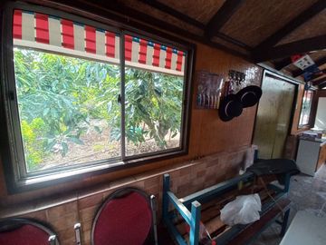 Quillota. La Palma. Maravillosa parcela con casa espectacular.