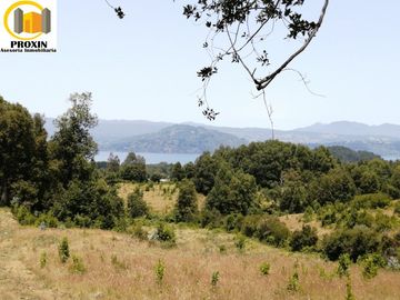 Parcelas muy cercanas a Lican  Ray