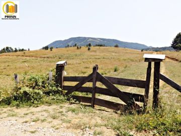 Parcelas muy cercanas a Lican  Ray