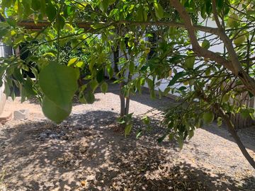 Se vende casa de una planta en sector surponiente, Talca