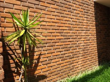 En Fracc. Las Palomas, casa nueva con jardín, 3 habitaciones, una en planta baja