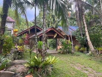 Nearly 25 Rai of Land with Mountain View, Farmhouse & Public Creek for Sale in Thai Mueang, Phangnga