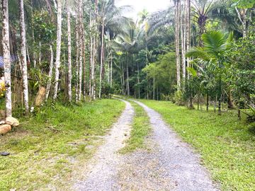 Nearly 25 Rai of Land with Mountain View, Farmhouse & Public Creek for Sale in Thai Mueang, Phangnga