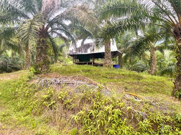 Nearly 25 Rai of Land with Mountain View, Farmhouse & Public Creek for Sale in Thai Mueang, Phangnga