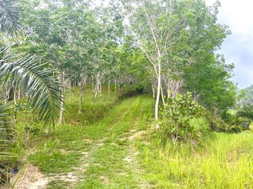 Nearly 25 Rai of Land with Mountain View, Farmhouse & Public Creek for Sale in Thai Mueang, Phangnga