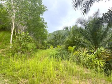 Nearly 25 Rai of Land with Mountain View, Farmhouse & Public Creek for Sale in Thai Mueang, Phangnga