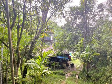 Nearly 25 Rai of Land with Mountain View, Farmhouse & Public Creek for Sale in Thai Mueang, Phangnga