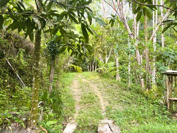 Nearly 25 Rai of Land with Mountain View, Farmhouse & Public Creek for Sale in Thai Mueang, Phangnga