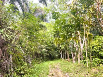 Nearly 25 Rai of Land with Mountain View, Farmhouse & Public Creek for Sale in Thai Mueang, Phangnga
