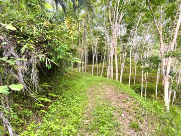 Nearly 25 Rai of Land with Mountain View, Farmhouse & Public Creek for Sale in Thai Mueang, Phangnga