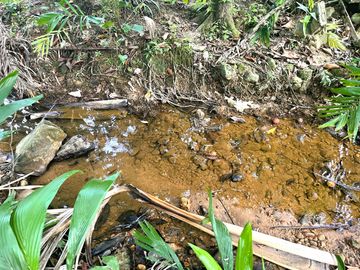 Nearly 25 Rai of Land with Mountain View, Farmhouse & Public Creek for Sale in Thai Mueang, Phangnga