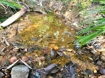 Nearly 25 Rai of Land with Mountain View, Farmhouse & Public Creek for Sale in Thai Mueang, Phangnga