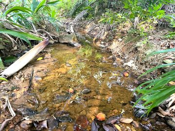 Nearly 25 Rai of Land with Mountain View, Farmhouse & Public Creek for Sale in Thai Mueang, Phangnga