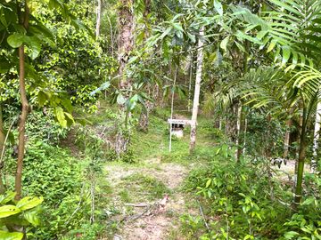 Nearly 25 Rai of Land with Mountain View, Farmhouse & Public Creek for Sale in Thai Mueang, Phangnga