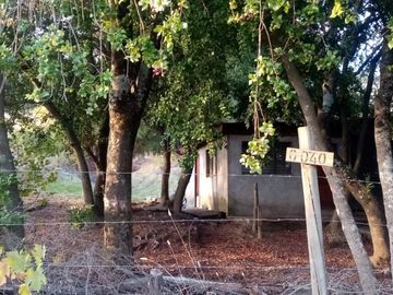Parcela 1 ha, con casa, Camino a Cabrero km 54, cerca de Yumbel. Región del Bio Bio