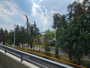 CAMINO A SANTA FE 606 ED LAURELES C103, Cuevitas, Alvaro Obregón, Ciudad De México