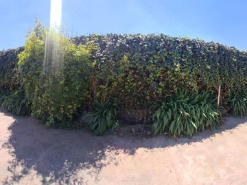 TERRENO EN VENTA, SAN GASPAR TLAHUELILPAN,METEPEC.