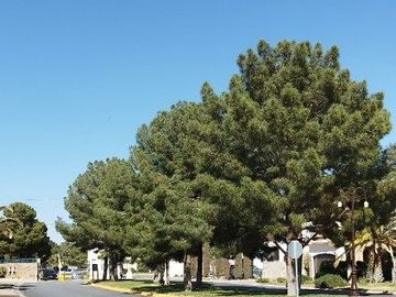 VENTA DE RESIDENCIA EN CAMPOS ELISEOS