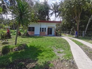 HOUSE AND LOT FOR SALE IN VALENCIA ID 14993