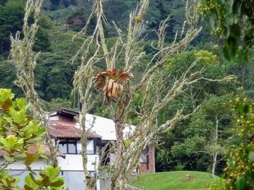 Vendo espectacular casa finca en La Clorinda Borrero Ayerbe