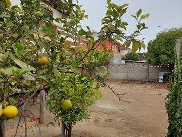 CASA Y SITIO PARA CONSTRUIR EN EL QUISCO.