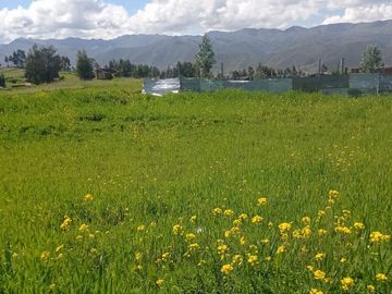 TERRENO EN VENTA EN SUCSO AUYCALLE