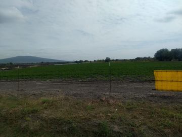 VENTA HECTAREAS EN SAN LUIS REY GTO.