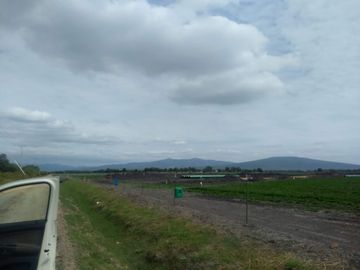 VENTA HECTAREAS EN SAN LUIS REY GTO.