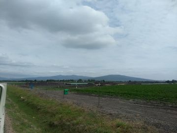 VENTA HECTAREAS EN SAN LUIS REY GTO.